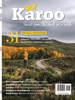 cover image of go!